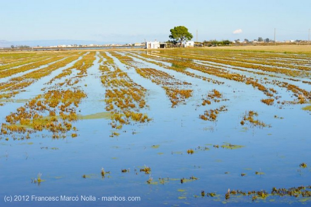 El Delta del Ebro
Parque Natural Delta del Ebro
Tarragona