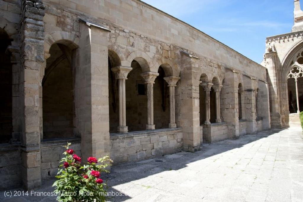Vallbona de les Monges
Monasterio Vallbona de les Monges
Lerida