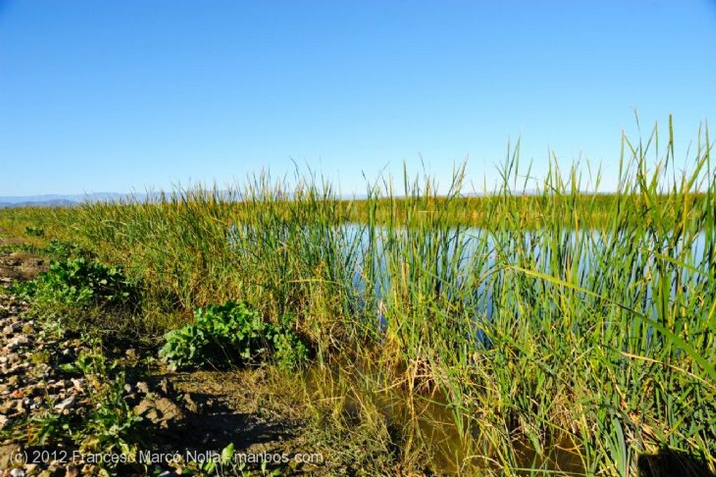 El Delta del Ebro
Laguna La Tancada
Tarragona