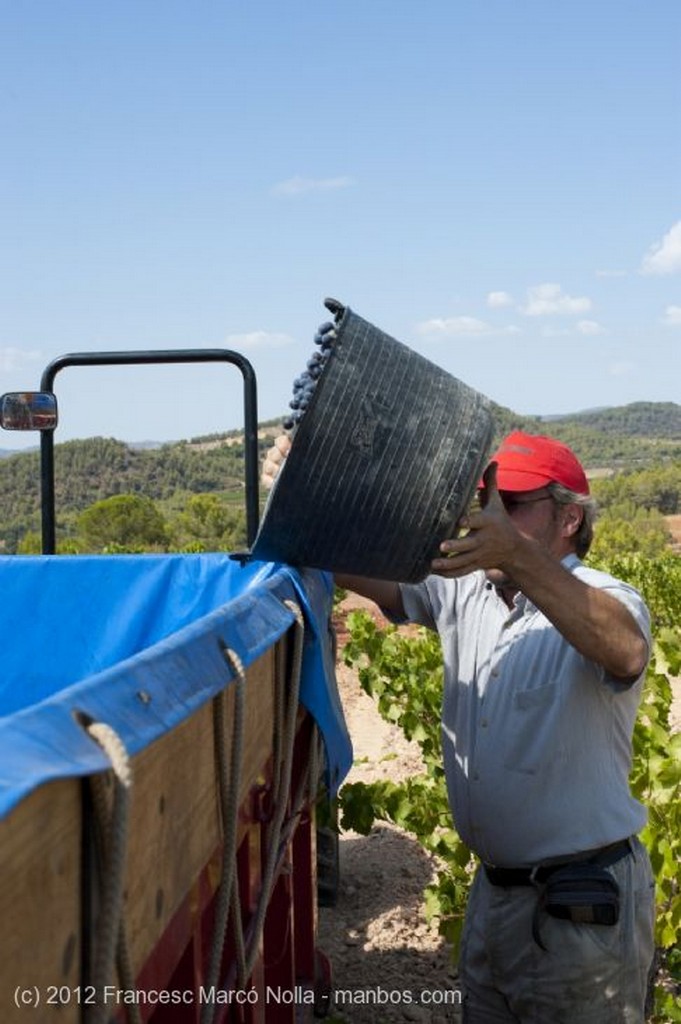 El Priorato
Tierra de Vinos
Tarragona