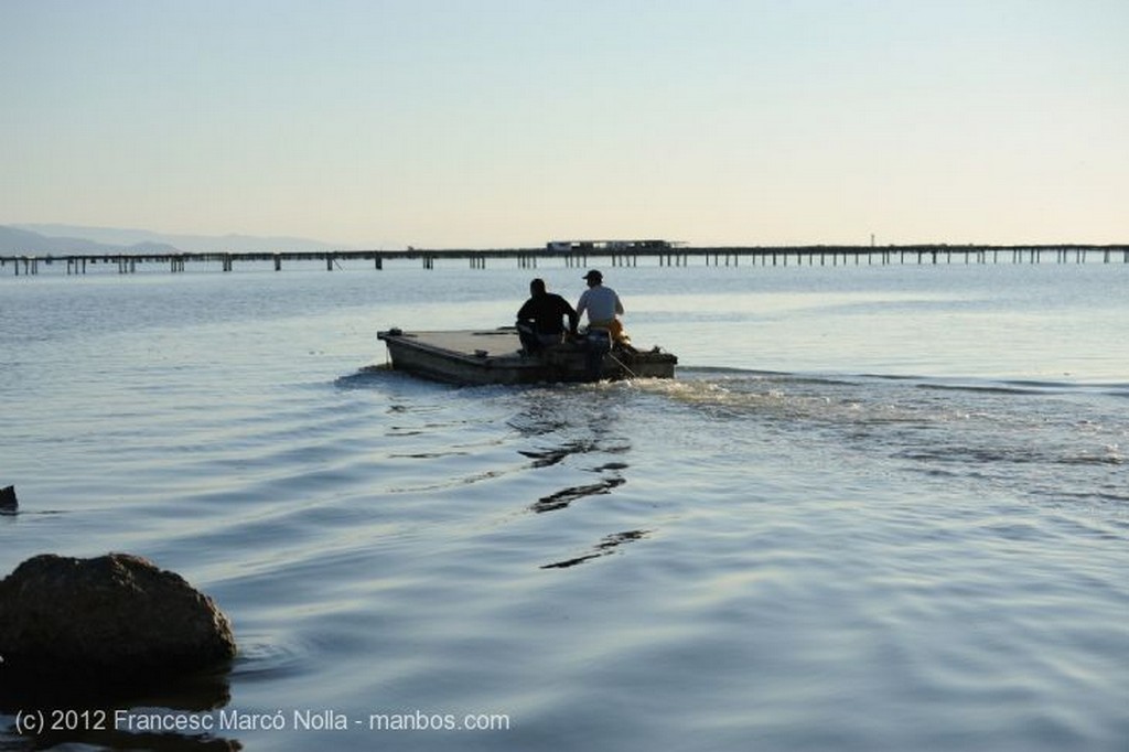 El Delta del Ebro
Hacia las Bateas de Marisco del Fangar
Tarragona