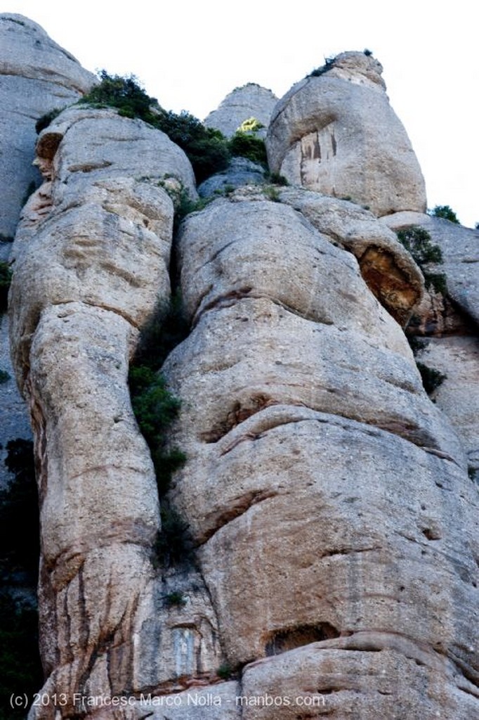 Monasterio de Montserrat
Monasterio de Montserrat
Barcelona