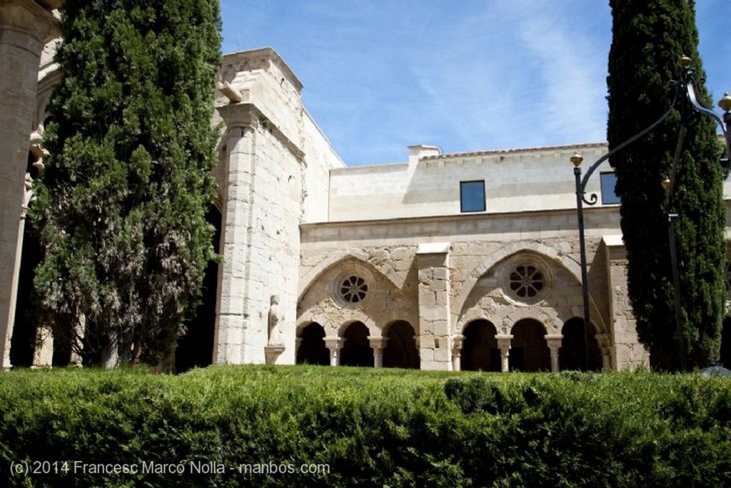 Vallbona de les Monges
Monasterio Vallbona de les Monges
Lerida