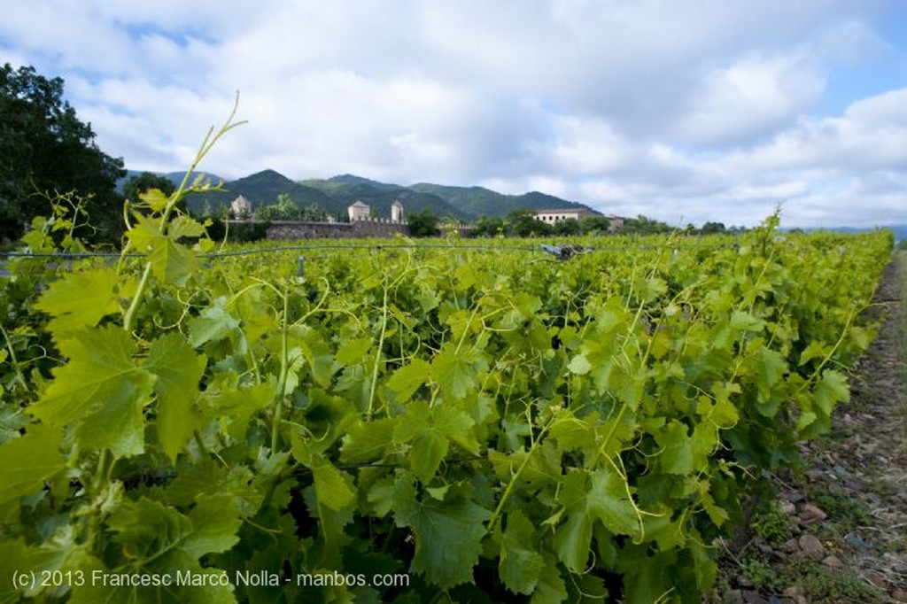 Monasterio de Poblet
Monasterio de Poblet
Tarragona