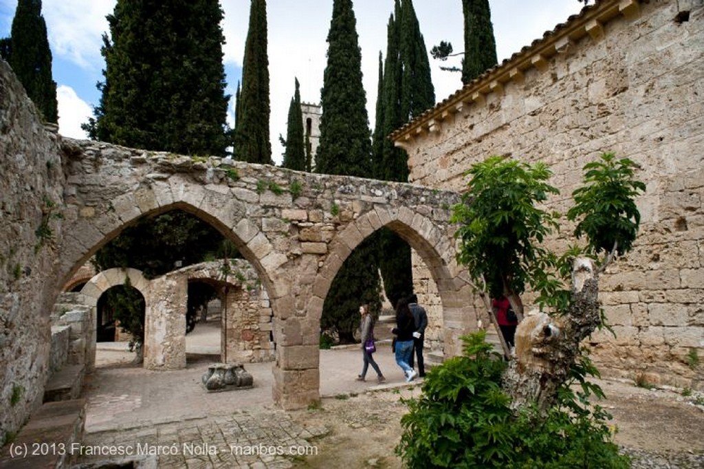 Monasterio de Santes Creus
Monasterio Santes Creus
Tarragona