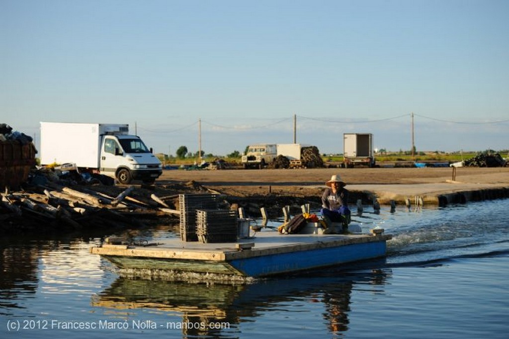 El Delta del Ebro
Embarcadero de Mariscos del Fangar
Tarragona