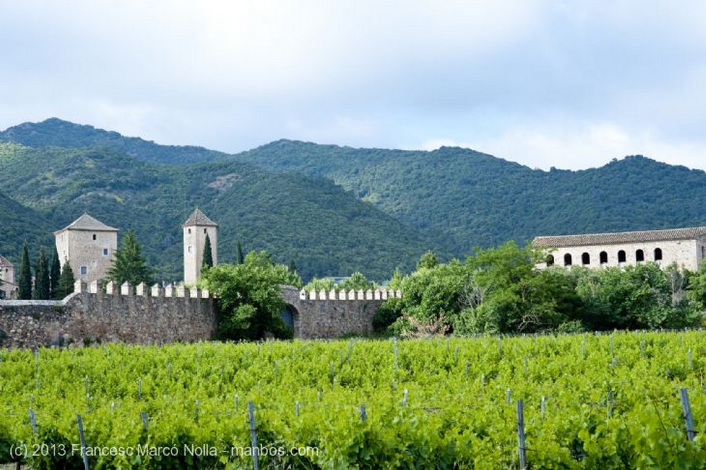 Monasterio de Poblet
Monasterio de Poblet
Tarragona