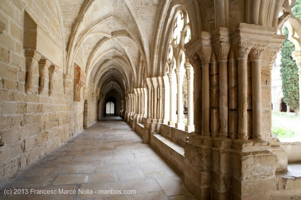 Monasterio de Poblet
Monasterio de Poblet
Tarragona