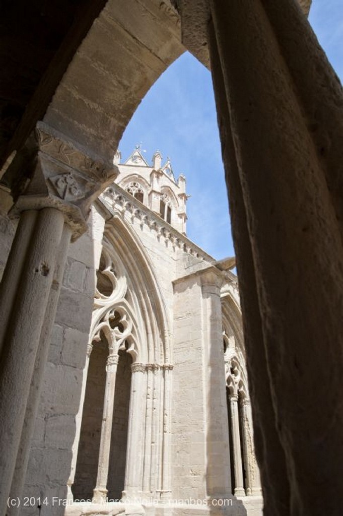 Vallbona de les Monges
Monasterio Vallbona de les Monges
Lerida