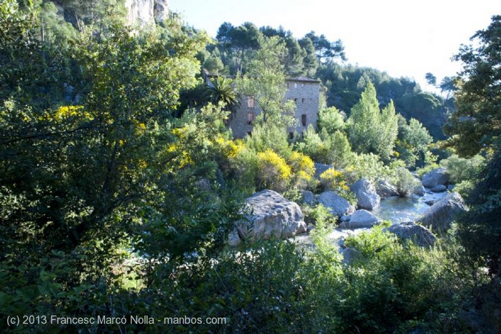 Monasterio de Poblet
Monasterio de Poblet
Tarragona