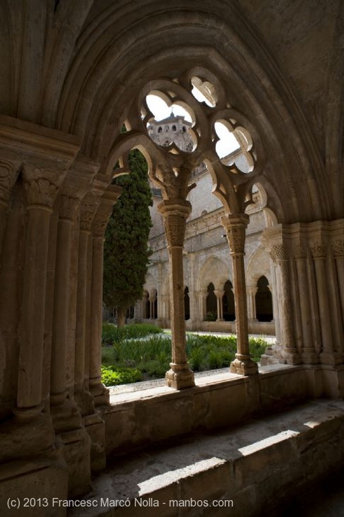 Monasterio de Poblet
Monasterio de Poblet
Tarragona