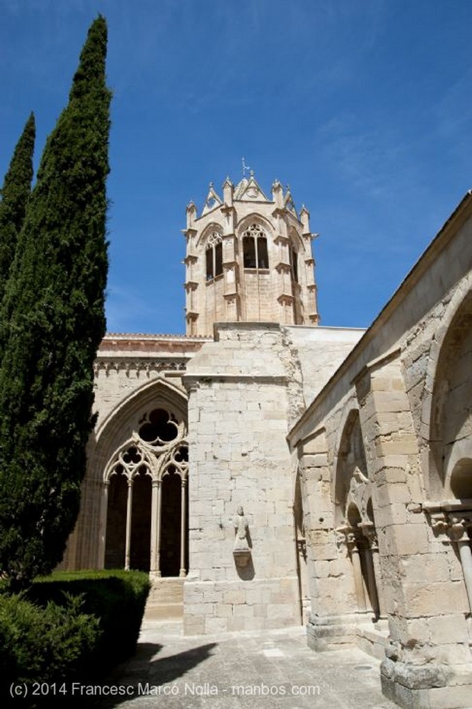 Vallbona de les Monges
Monasterio Vallbona de les Monges
Lerida