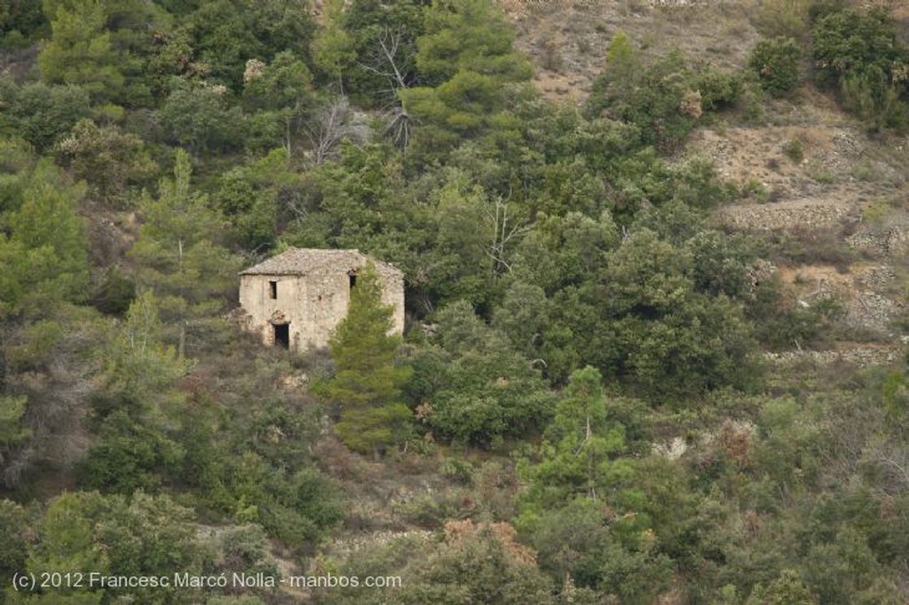 El Priorato
Antigua Masia Restaurada
Tarragona