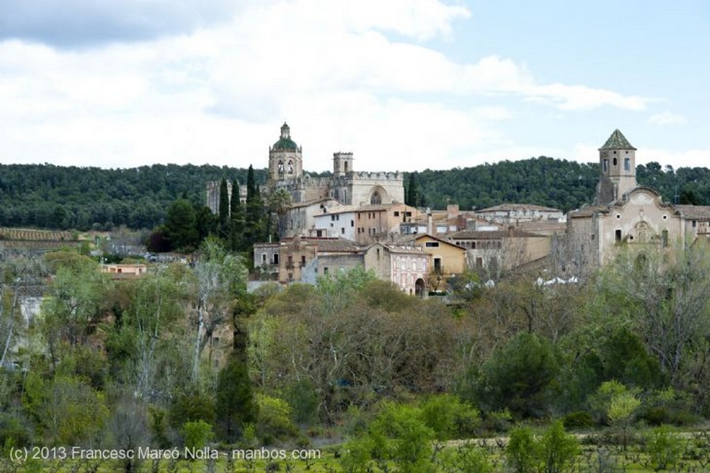 Monasterio de Santes Creus
Monasterio Santes Creus
Tarragona