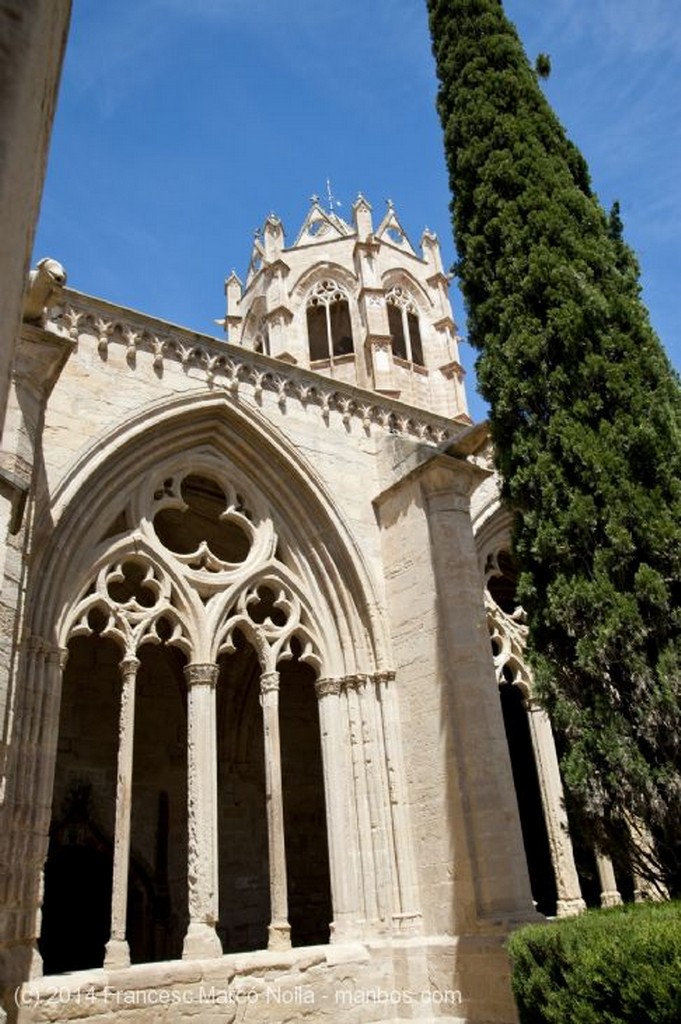 Vallbona de les Monges
Monasterio Vallbona de les Monges
Lerida