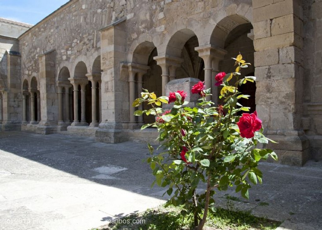 Vallbona de les Monges
Monasterio Vallbona de les Monges
Lerida