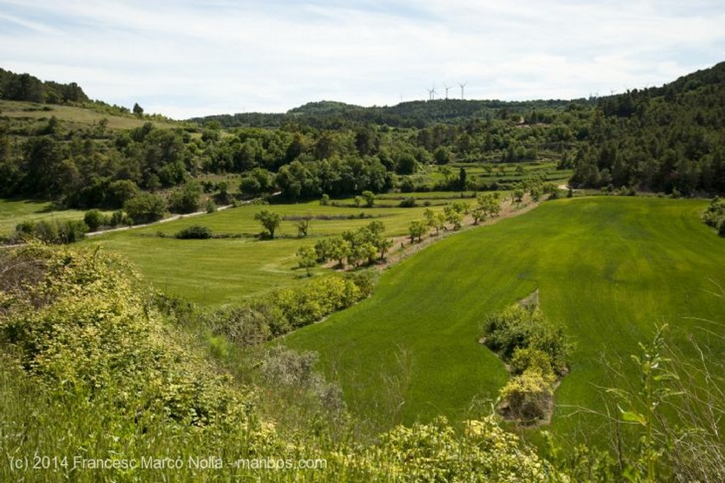 Vallbona de les Monges
Serra del Tallat
Lerida