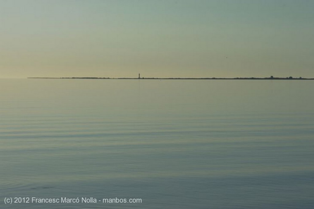 El Delta del Ebro
Los Arrozales en Junio
Tarragona