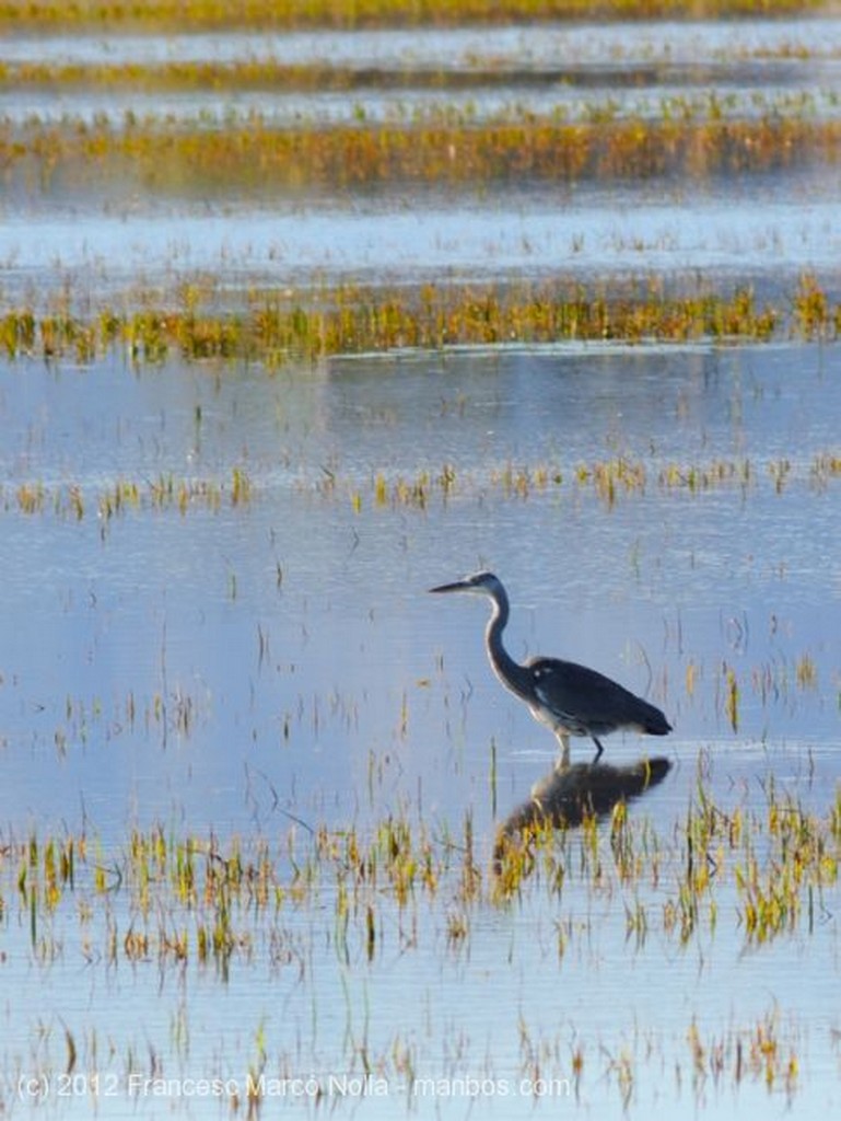 El Delta del Ebro
La Barraca  Casa de Fusta
Tarragona