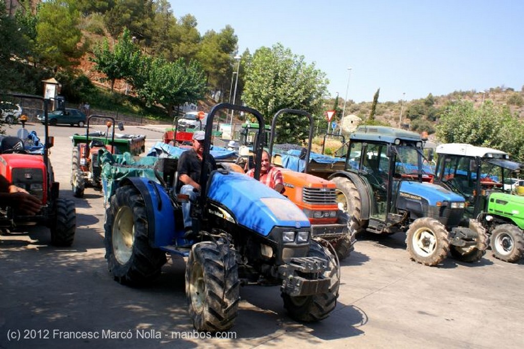 El Priorato
Esperando su Turno
Tarragona