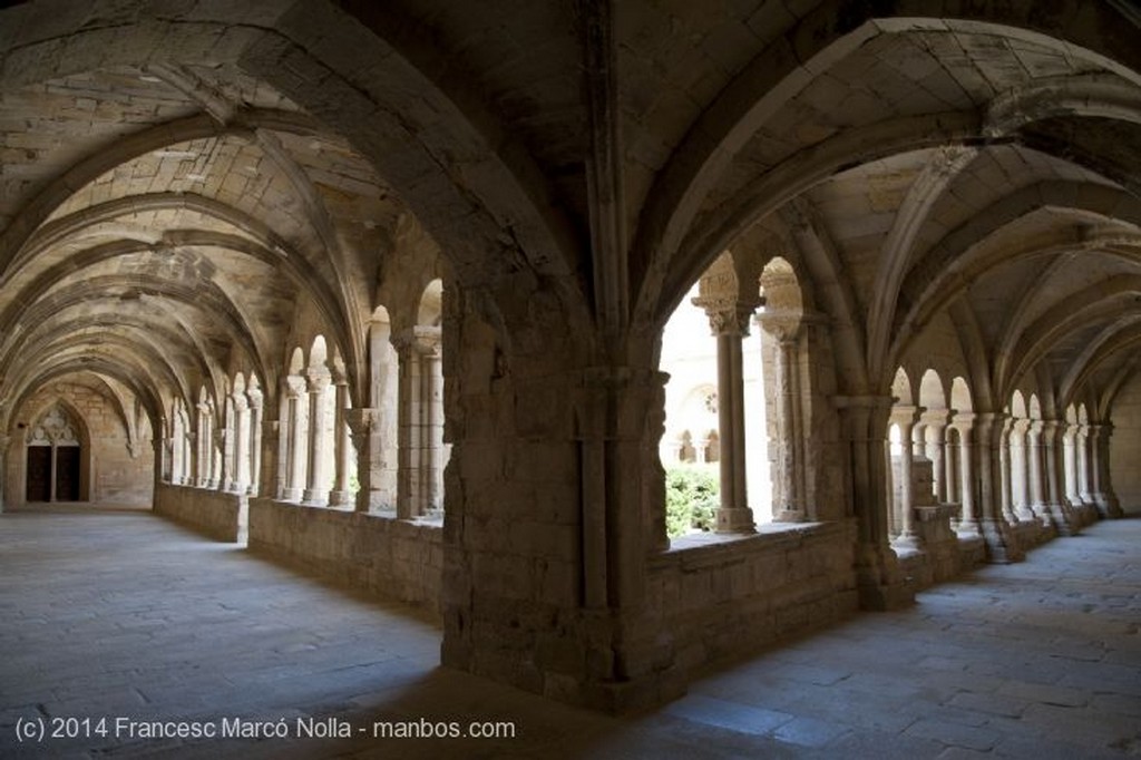 Vallbona de les Monges
Monasterio Vallbona de les Monges
Lerida