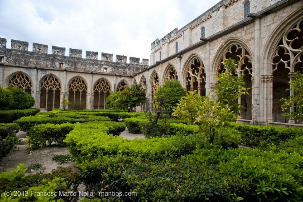 Monasterio de Santes Creus
Monasterio Santes Creus
Tarragona