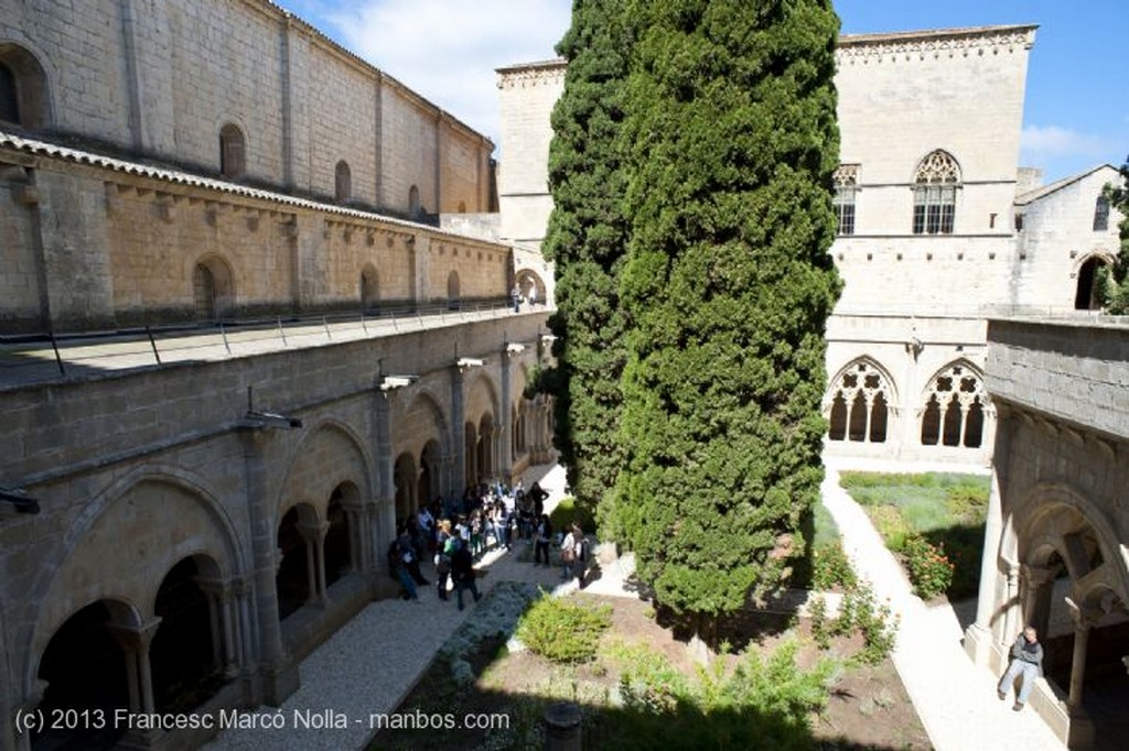 Monasterio de Poblet
Monasterio de Poblet
Tarragona