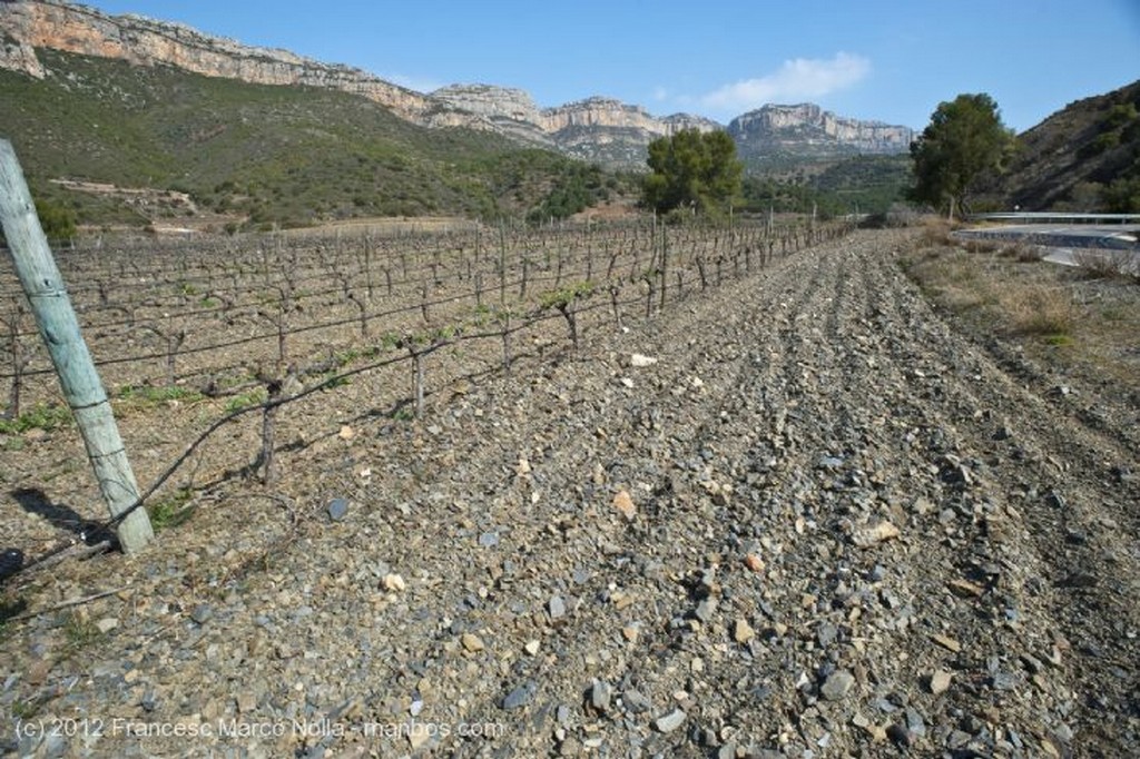 El Priorato
Panoramica de Poboleda
Tarragona