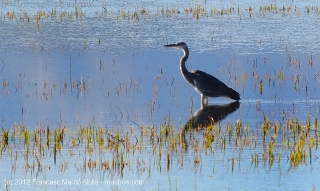 El Delta del Ebro
Laguna La Tacada
Tarragona