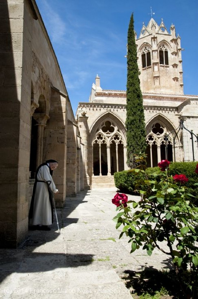 Vallbona de les Monges
Monasterio Vallbona de les Monges
Lerida