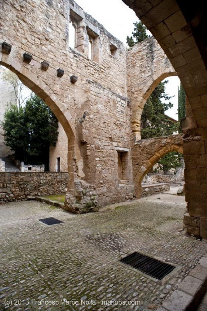 Monasterio de Santes Creus
Monasterio Santes Creus
Tarragona