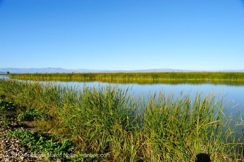 El Delta del Ebro
Puente Nuevo Sobre el Rio Ebro
Tarragona