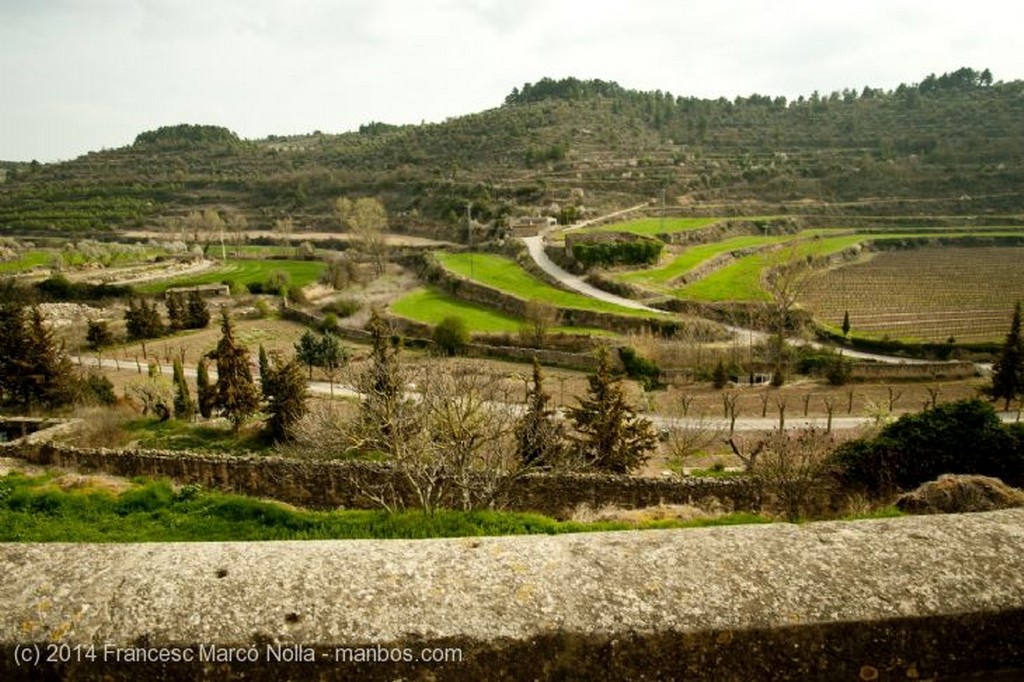 Vallbona de les Monges
Serra del Tallat
Lerida