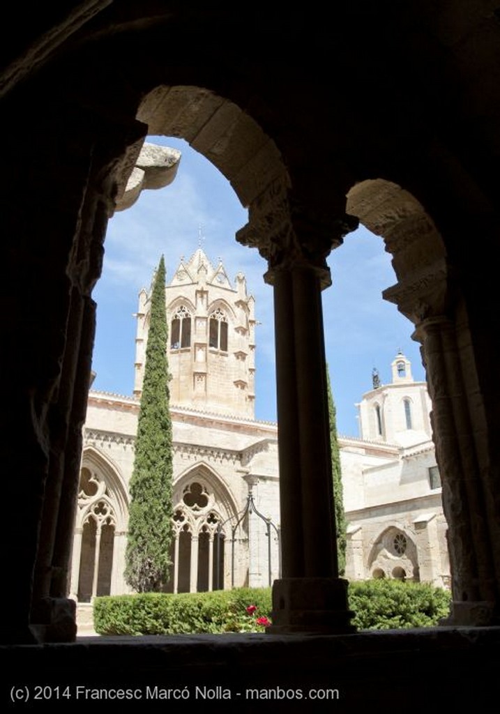 Vallbona de les Monges
Monasterio Vallbona de les Monges
Lerida