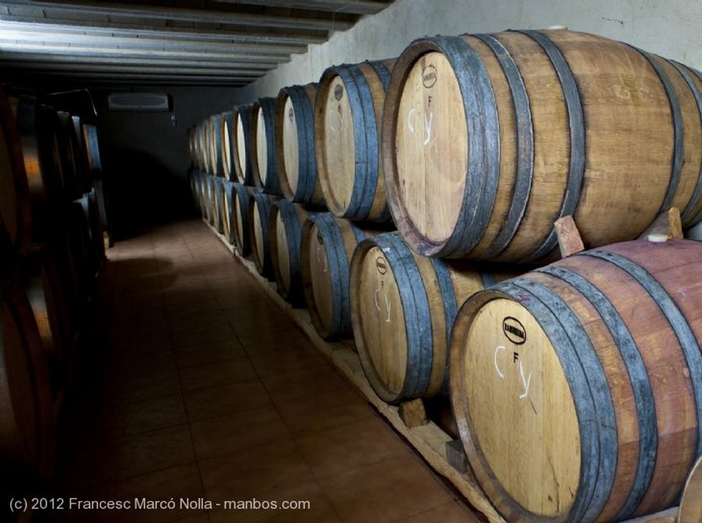 El Priorato
Botas de Roble
Tarragona