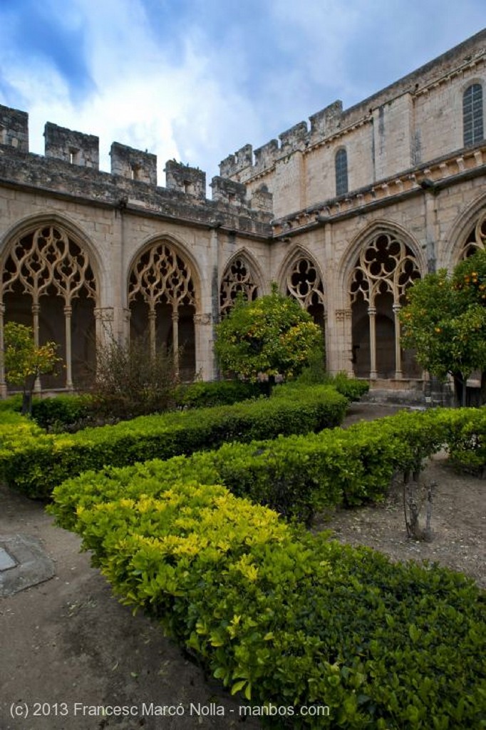 Monasterio de Santes Creus
Monasterio Santes Creus
Tarragona