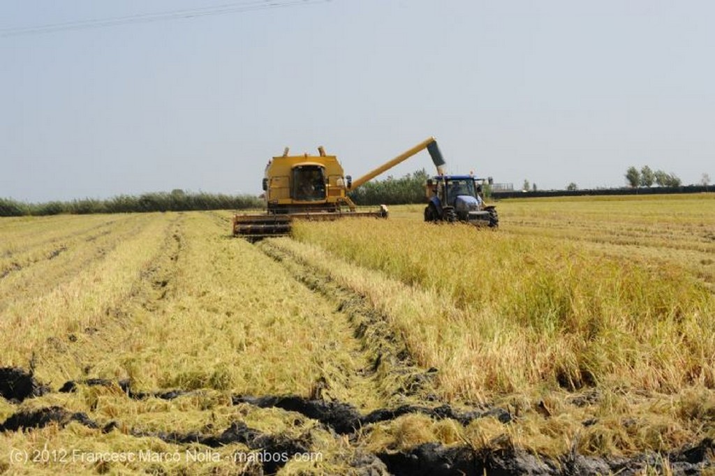 El Delta del Ebro
Toda la Maquinaria a Punto
Tarragona