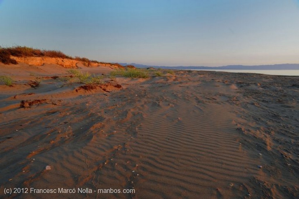 El Delta del Ebro
Los Primeros Rayos del Sol en el Delta
Tarragona