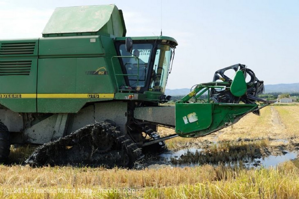 El Delta del Ebro
La Cosecha del Arroz
Tarragona