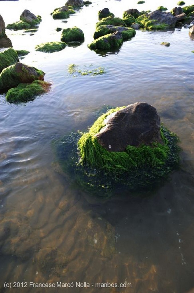 El Delta del Ebro
Zona de Nidificacion Dunas del Fangar
Tarragona