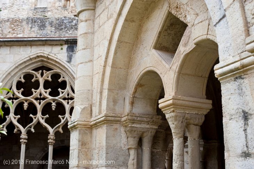 Monasterio de Santes Creus
Monasterio Santes Creus
Tarragona