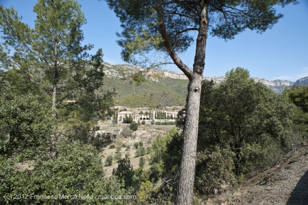 El Priorato
Al Abrigo del Montsant
Tarragona