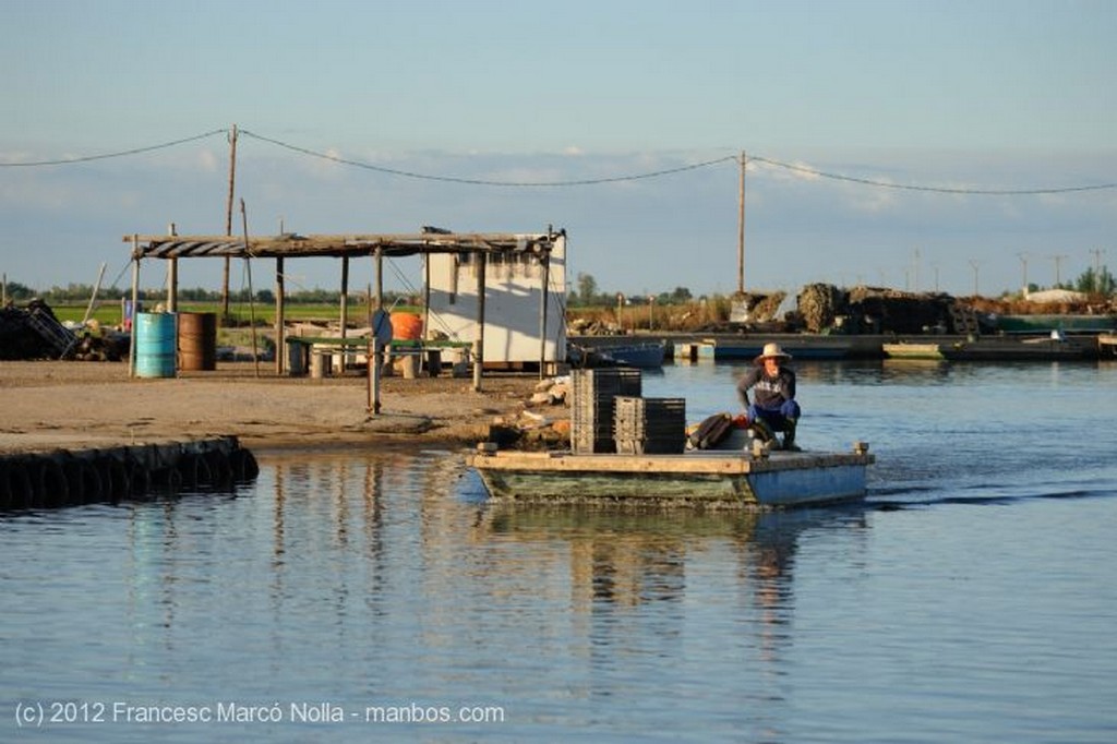 El Delta del Ebro
 Hacia las Bateas de Marisco  del Fangar
Tarragona