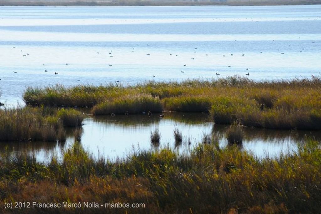 El Delta del Ebro
Laguna La Encanyissada
Tarragona