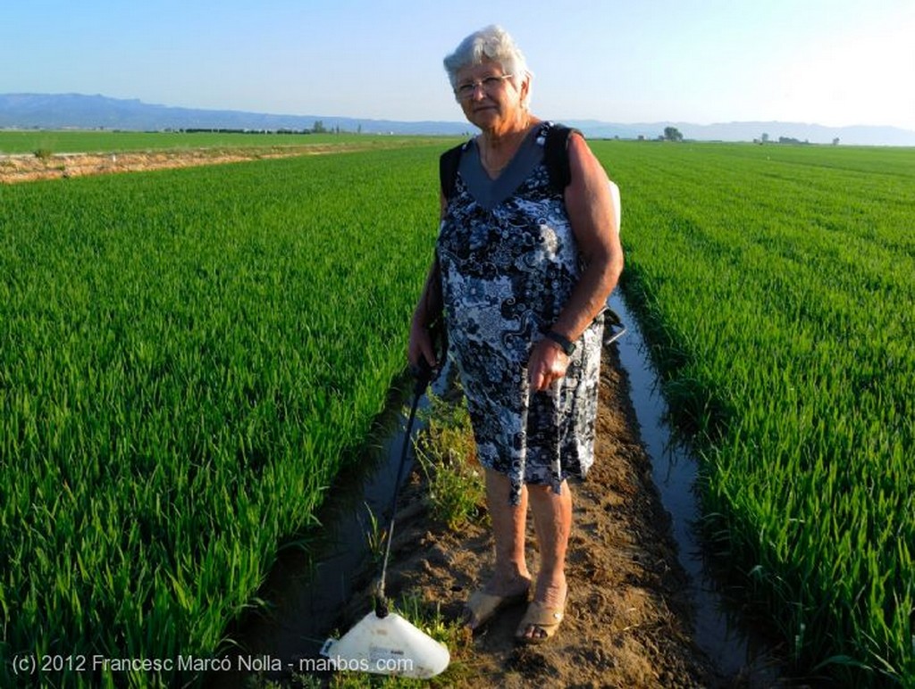 El Delta del Ebro
Los Arrozales del Delta
Tarragona