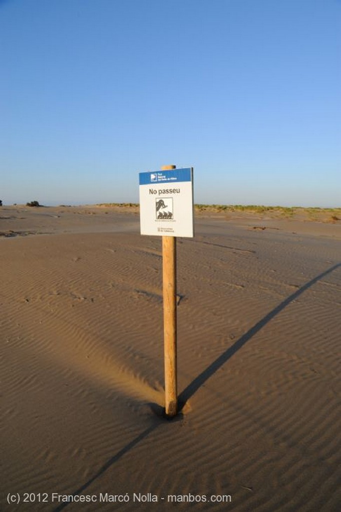 El Delta del Ebro
La Punta del Fangar
Tarragona