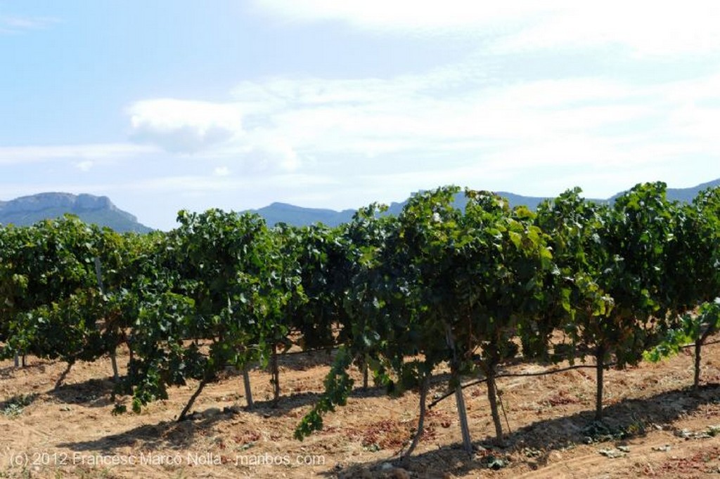 El Priorato
Los Campos del Priorato
Tarragona