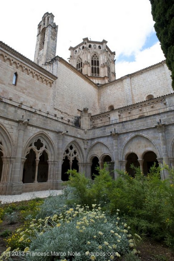 Monasterio de Poblet
Monasterio de Poblet
Tarragona