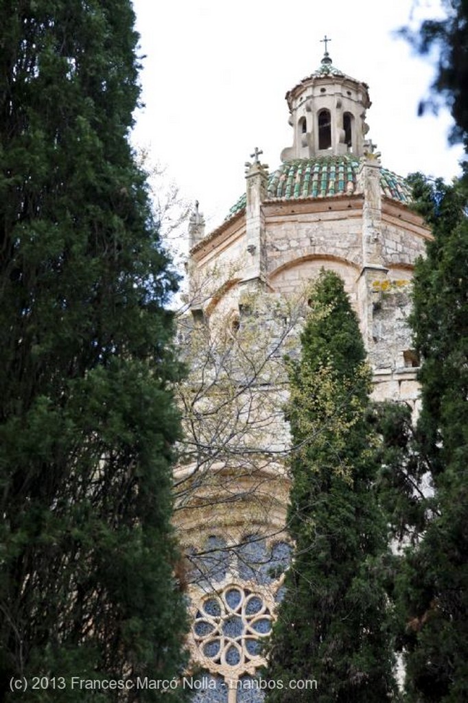 Monasterio de Santes Creus
Monasterio Santes Creus
Tarragona