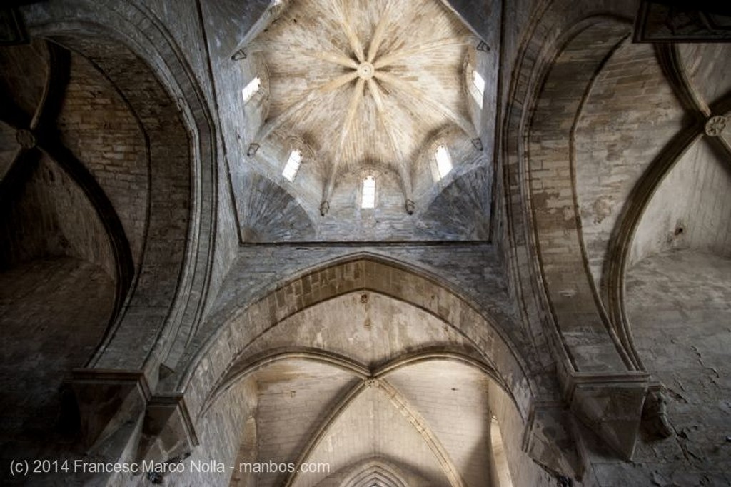 Vallbona de les Monges
Monasterio Vallbona de les Monges
Lerida